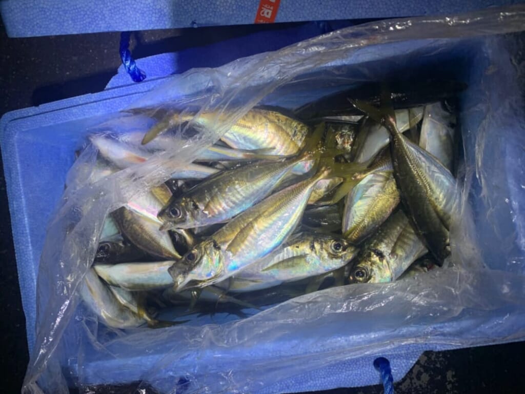 魚やめたんでうります