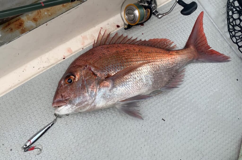 これが本当の海の怖い話 魚がニッポンから居なくなる 釣り人が変える日本の海の近未来 プロローグ ルアマガプラス