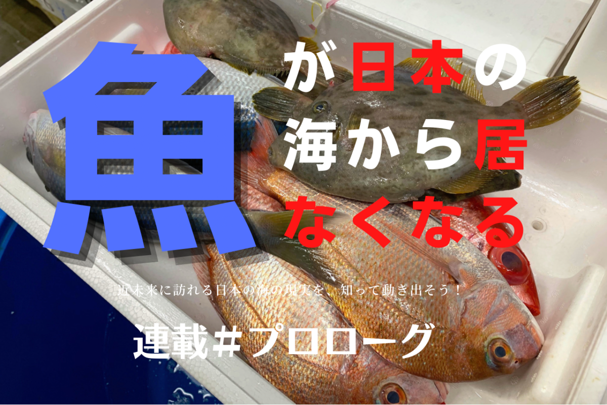 これが本当の海の怖い話 魚がニッポンから居なくなる 釣り人が変える日本の海の近未来 プロローグ ルアマガプラス