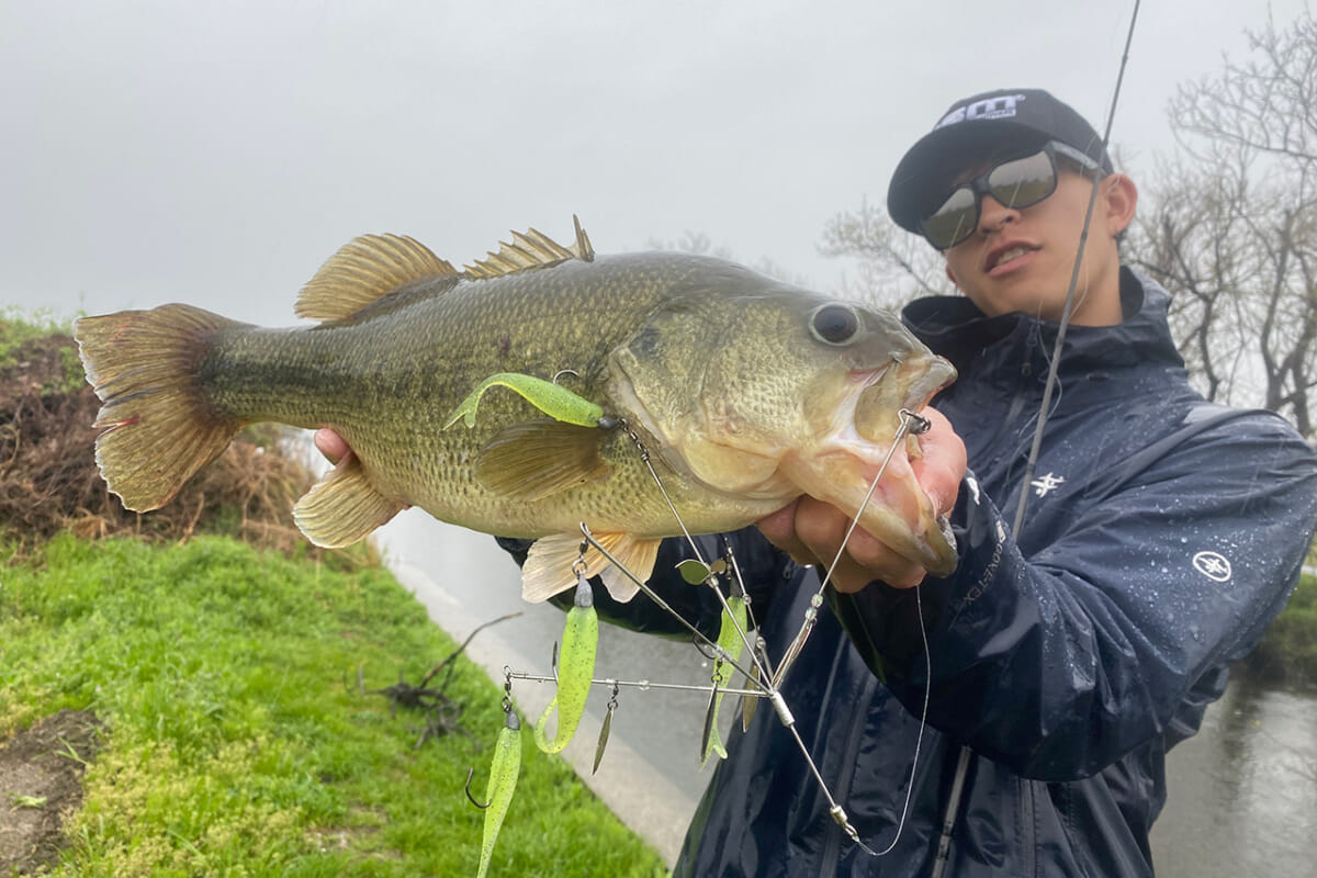 アラバマ系リグでどこでもでかバス連発 小魚系ワーム フラテリス Ism ルアマガ