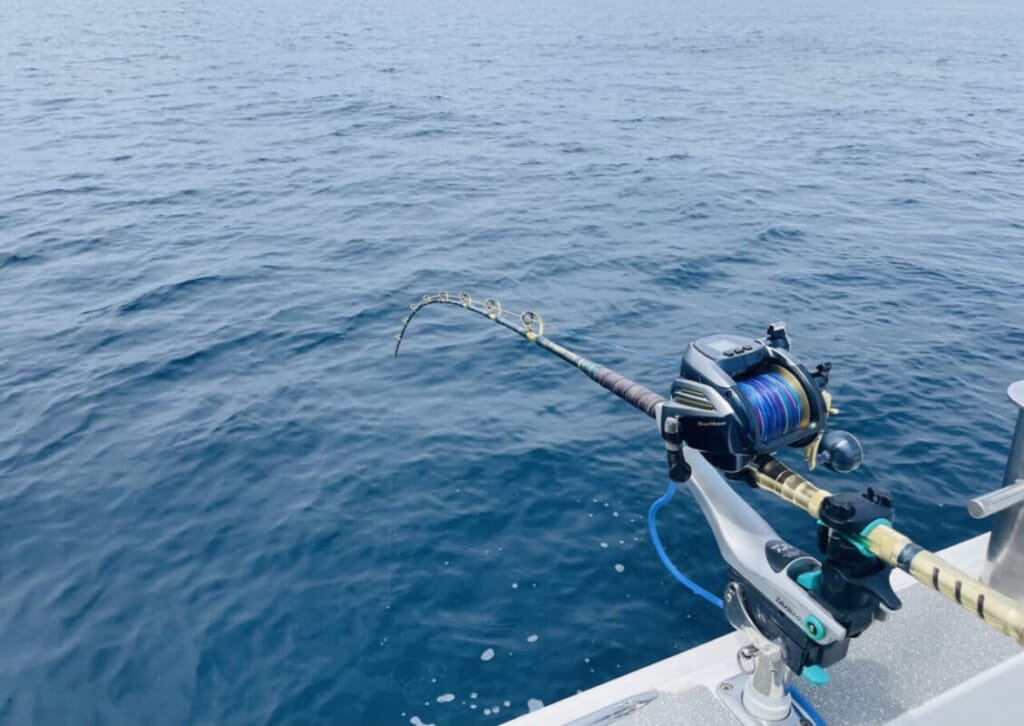 ルアマガ女子部 Yuppyの 釣り人の憧れ 高級魚クエを釣りたい 釣行レポート 1 ルアマガプラス