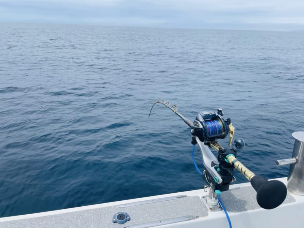 ルアマガ女子部 Yuppyの 釣り人の憧れ 高級魚クエを釣りたい 釣行レポート 1 ルアマガ