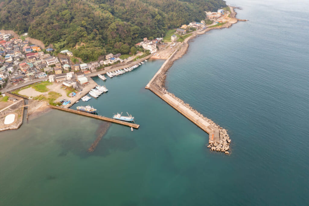 東伊豆で10魚種釣るまで12時間耐久フィッシング 釣りドコ で海底地形がわかるなら楽勝では ルアマガ