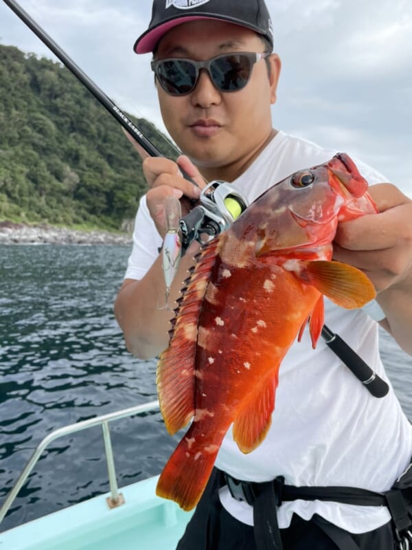DAIWA最高峰バス用パックロッド『BLXトラベル（DAIWA