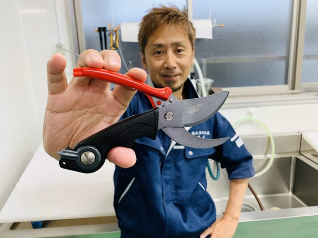 津本式血抜きで劇的に美味しくなるサワラ！ ハピソンの津本式血