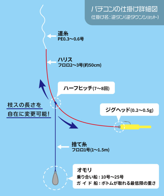 東京湾のギガアジ捕獲の秘訣とは 40cm超のアジを狙って釣る バチコン のコツ ルアマガプラス