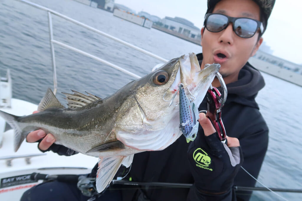 DAIWA『BLX TRAVEL』は今大人気の「ビッグベイトシーバス」も