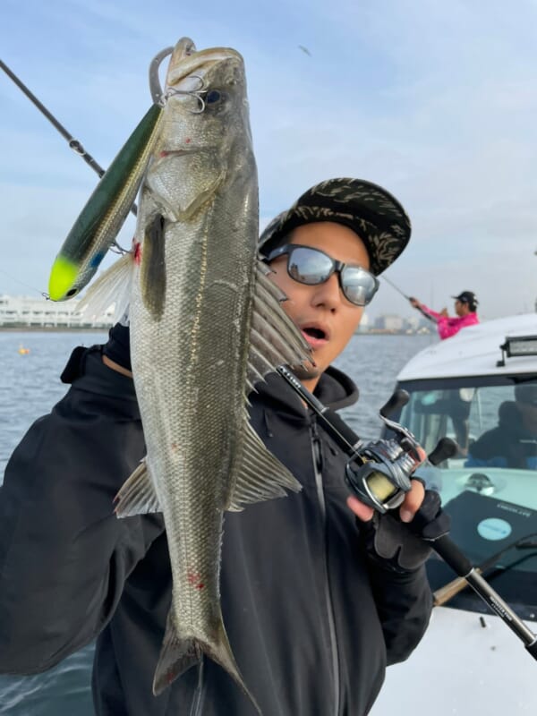 DAIWA『BLX TRAVEL』は今大人気の「ビッグベイトシーバス」も