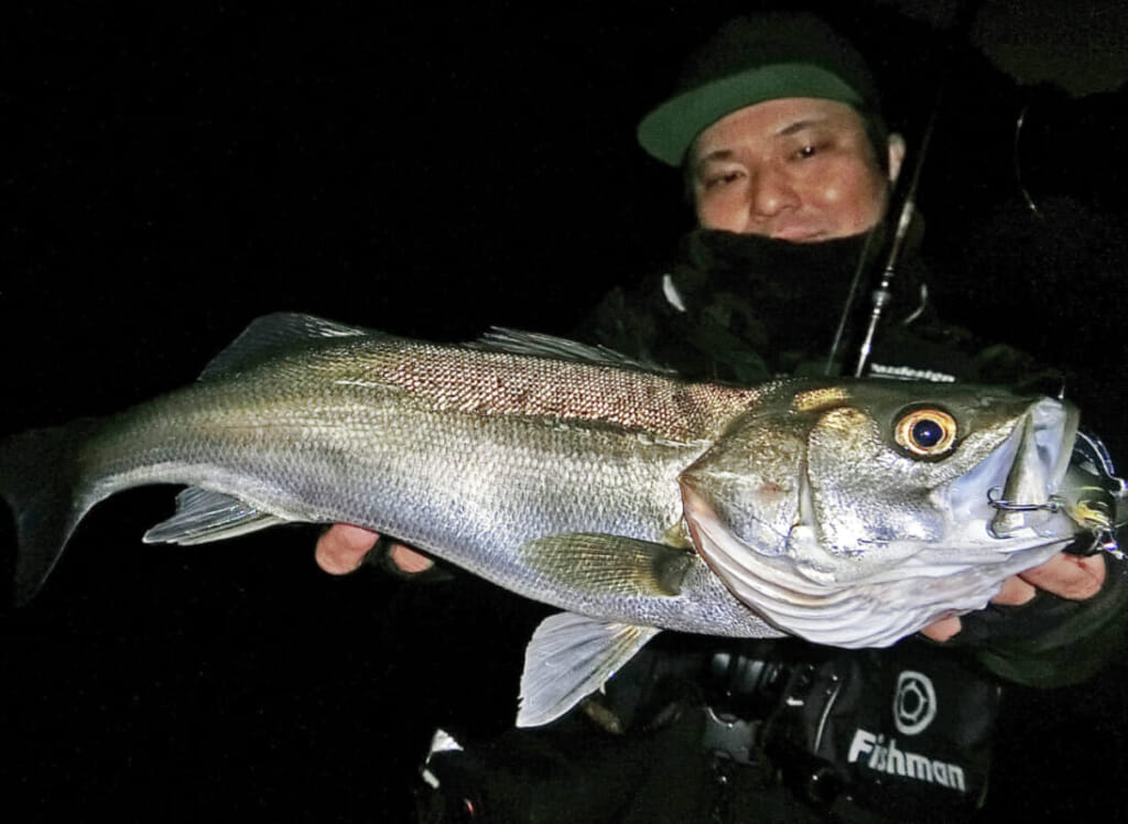 Fishmanのパックロッド『BC4』は「パワーと繊細さ」を兼ね備えた超高性能ロッドシリーズ！【福島県沖では巨大クロソイも捕獲!!】│ルアマガプラス