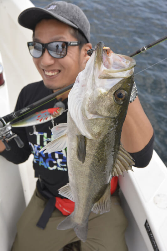 メガバス メガドッグ180 フィーモ、メルマガオリカラ 希少 MEGADOG 180 | Megabass-メガバス