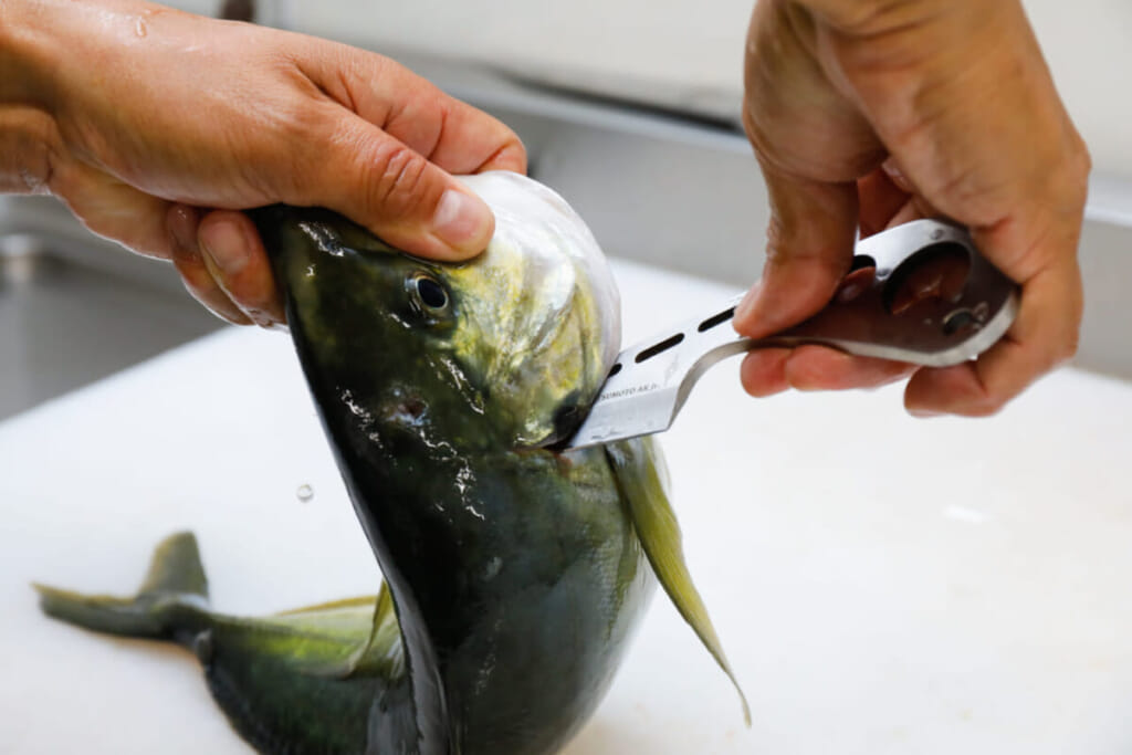 魚を締めることに特化したナイフを作ったワケ【津本式公認アサシン 