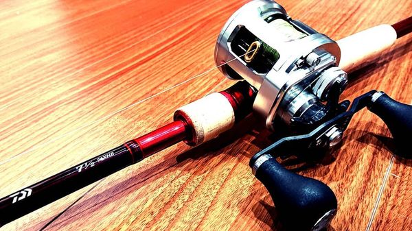 DAIWA『セブンハーフベイトモデル』のビッグベイトシーバスがアツい