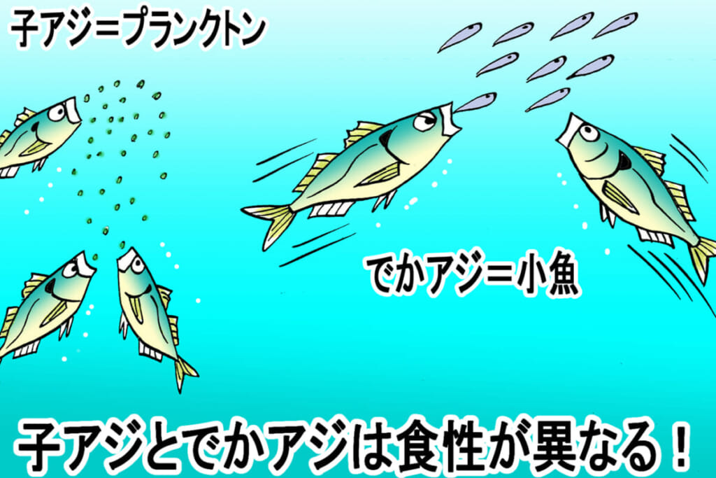 夢の尺アジ遭遇率を上げるために上級者が実践する 超簡単なたった2つのコト ルアマガプラス