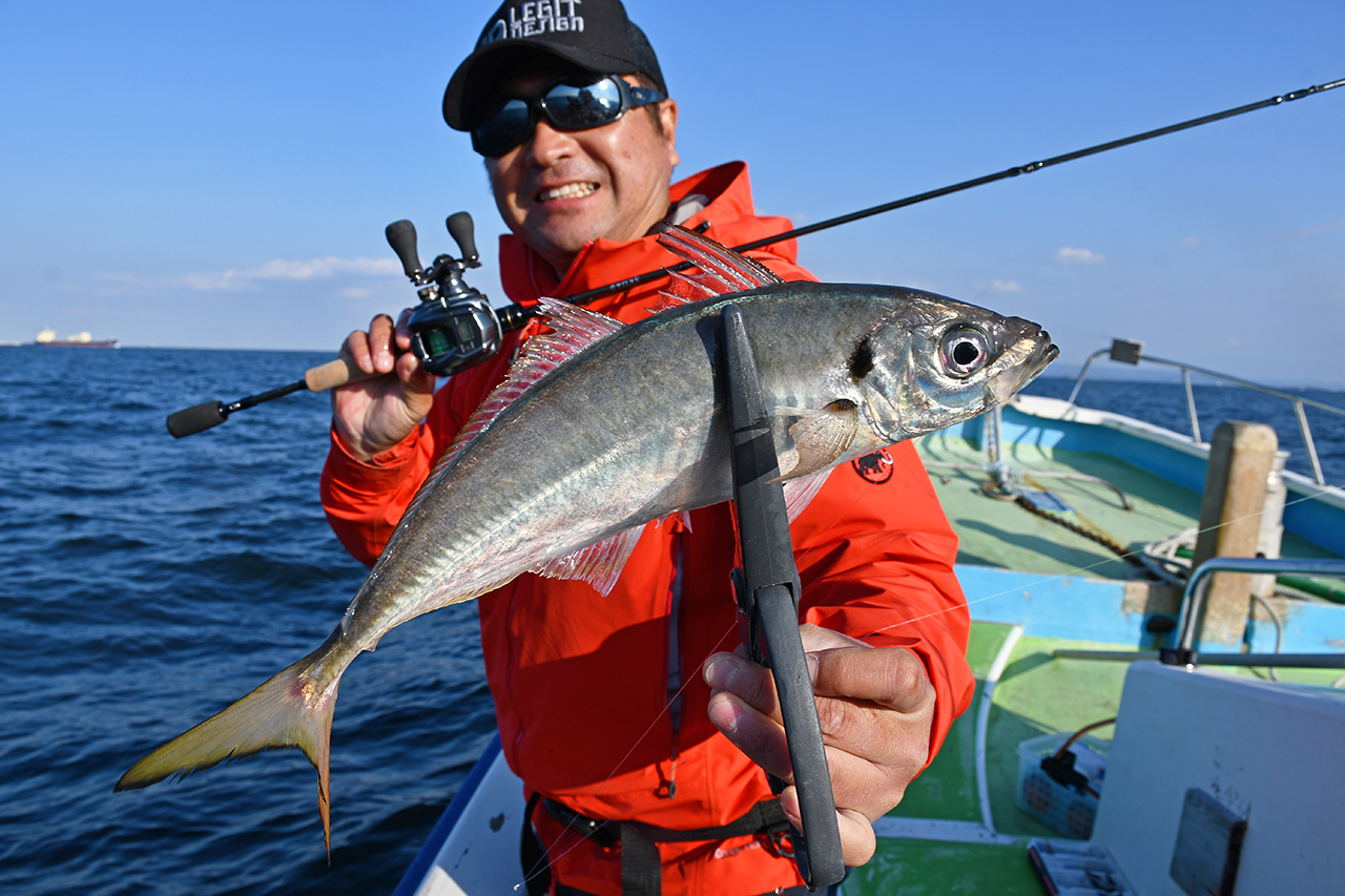 東京湾に潜む巨大アジを狙え 60cm級のバケモノサイズも釣れる バチコン って何だ ルアマガ