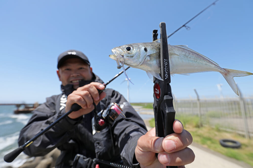 釣れれば尺アジ そんな夢のような場所が身近にあった フロートリグ絶対有利のそのポイントとは 渡邉長士の海釣り今日もいいチョーシ ルアマガプラス