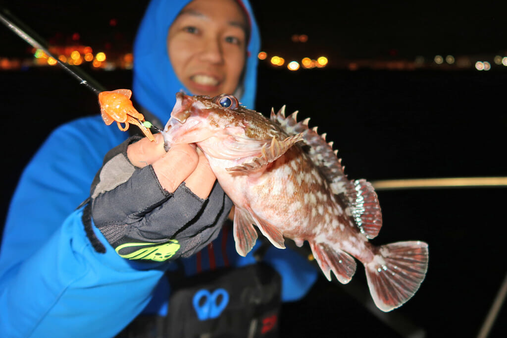 海のルアー釣りを始めたい人は「このセット」を買うべし