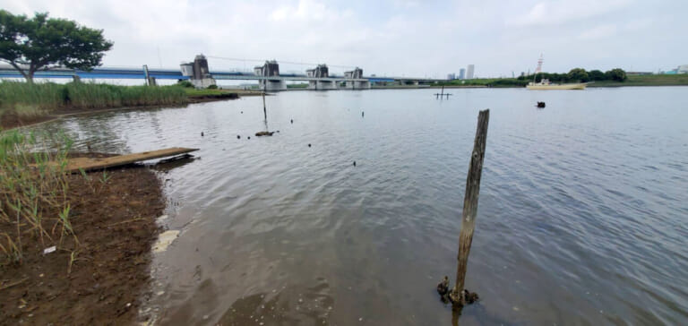 ハゼ釣り完全ガイド お子さんでもok 道具の選び方から釣り方まで 初めての釣りにオススメ ルアマガプラス