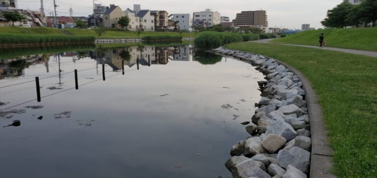 ハゼ釣り完全ガイド お子さんでもok 道具の選び方から釣り方まで 初めての釣りにオススメ ルアマガプラス