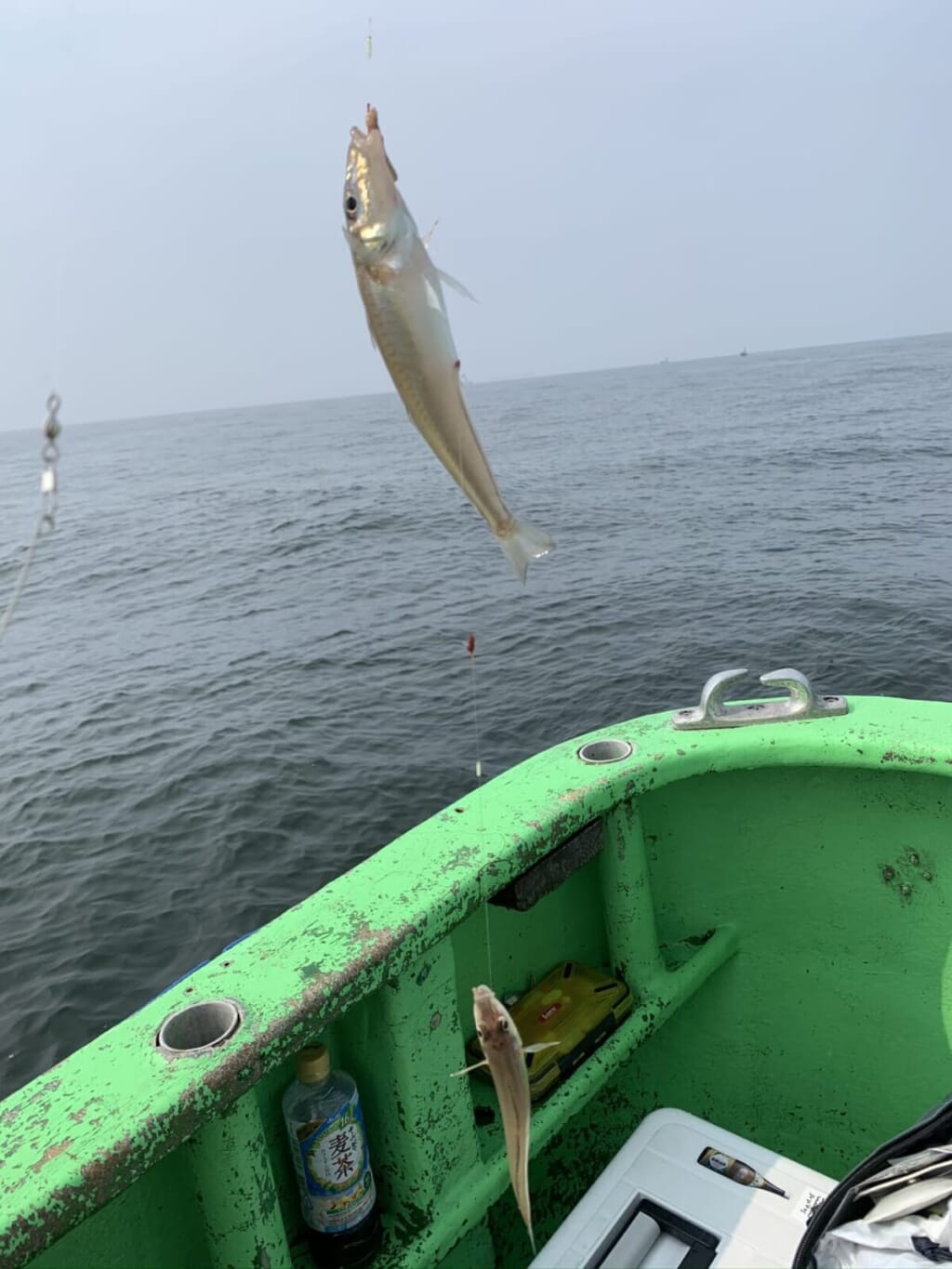 22年対応 全部わかるシロギス釣り 大型狙うなら船釣りやボート釣り 釣り方 道具 持ち帰り方 料理 ルアマガプラス