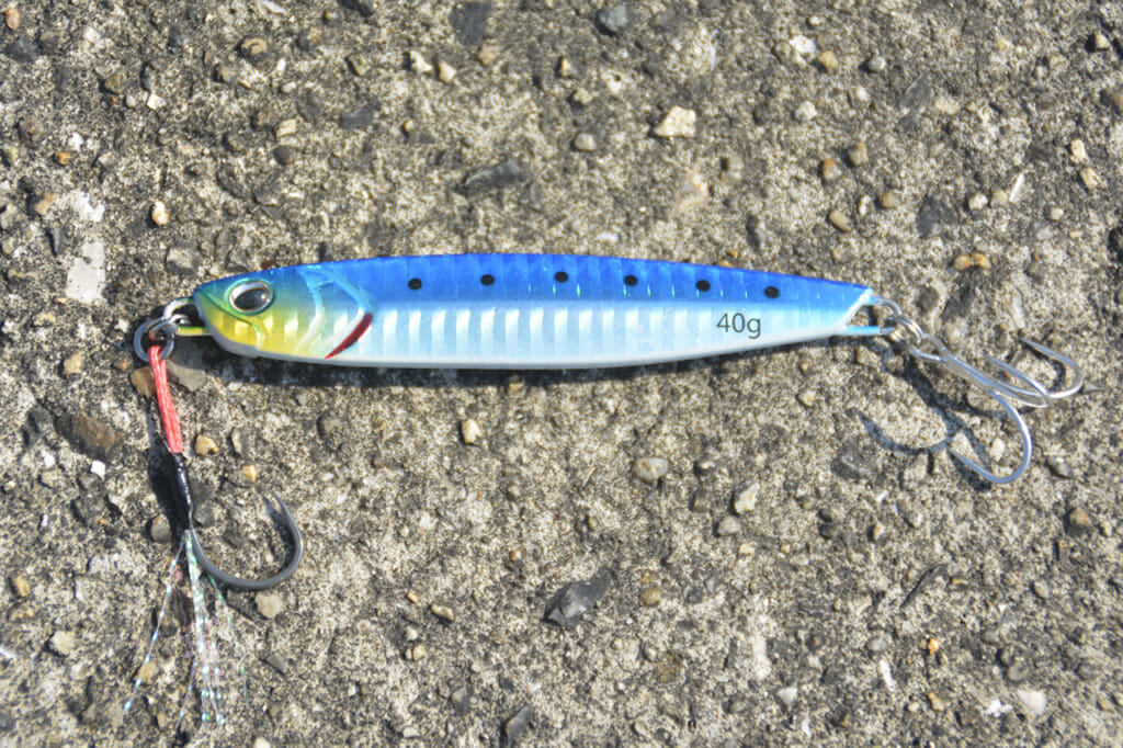 メーターサワラを捕獲!! DAIWA『サムライジグR』は初心者にも メーターサワラを捕獲!! DAIWA『サムライジグR』は初心者にも