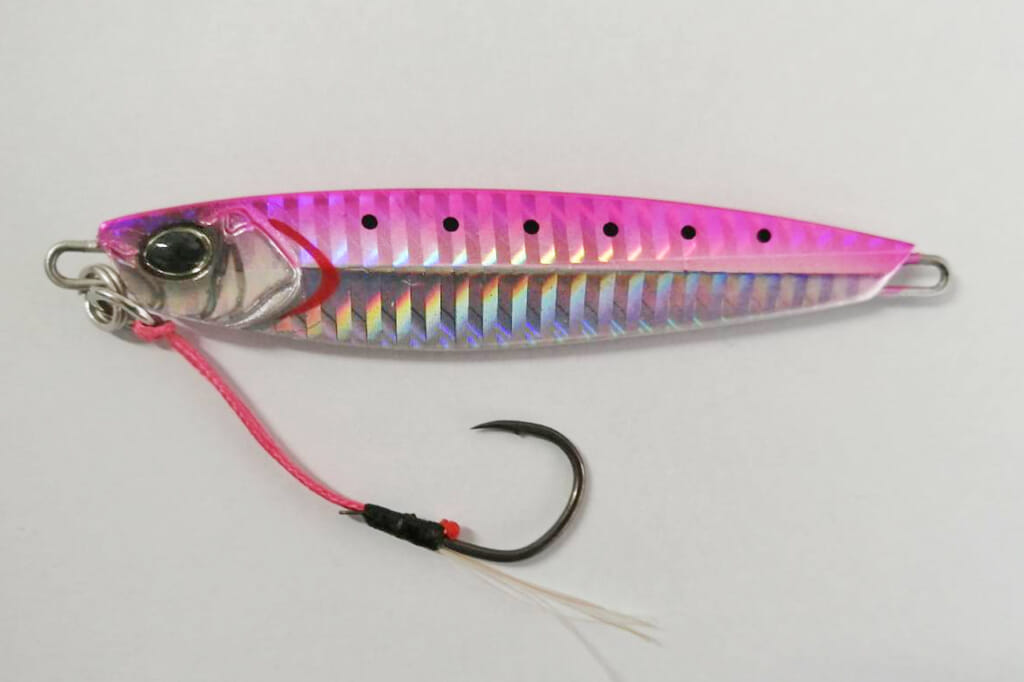 メーターサワラを捕獲!! DAIWA『サムライジグR』は初心者にも