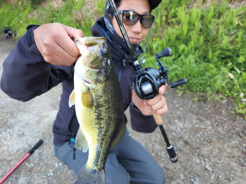 バス釣りで大人気の各社 610m ロッド4本を徹底調査 Nories Zpi Raid Japan Jackall Shimano ルアマガプラス