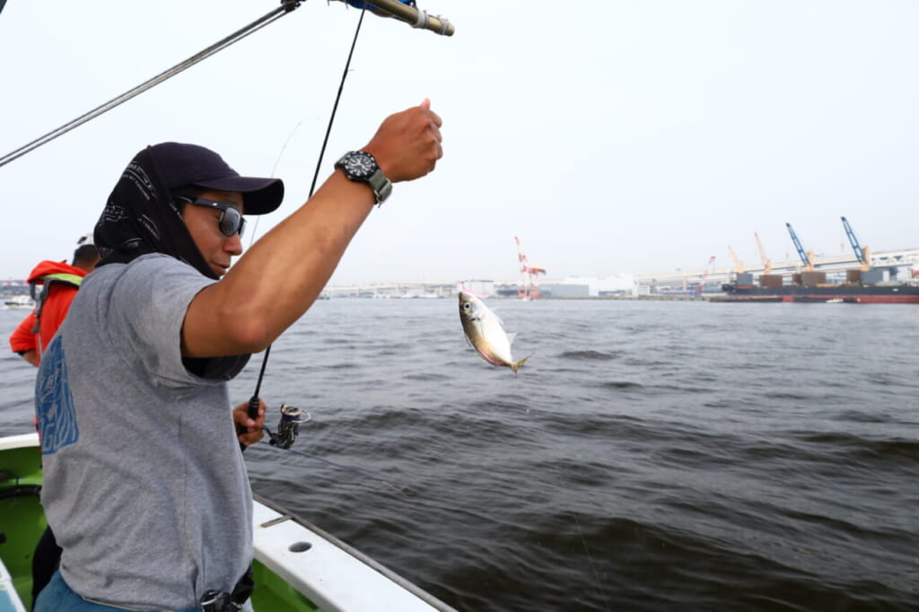 Bedok Jetty Fishing: Ajing Fishing あじ 釣り 