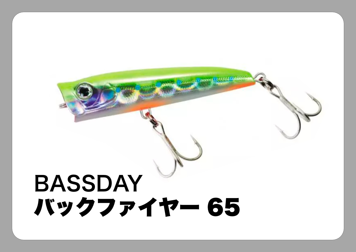 バックファイヤー 65 Bassday ルアマガ的定番タックルカタログ ソルトルアー ルアマガプラス