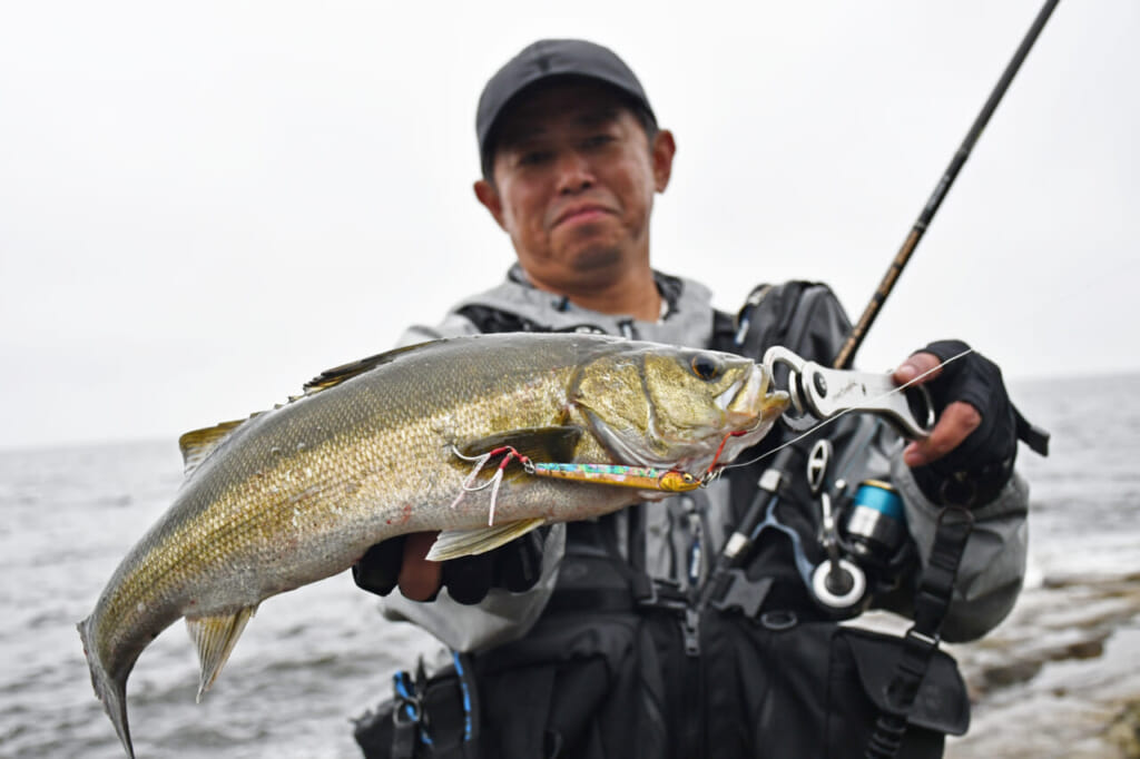 サーフ・河口・磯！ シーバス・ヒラメ・青物！ 1本で何でもこなす『パワーマスターサンドウォーカーPMS1102S-M』（テンリュウ）│ルアマガプラス